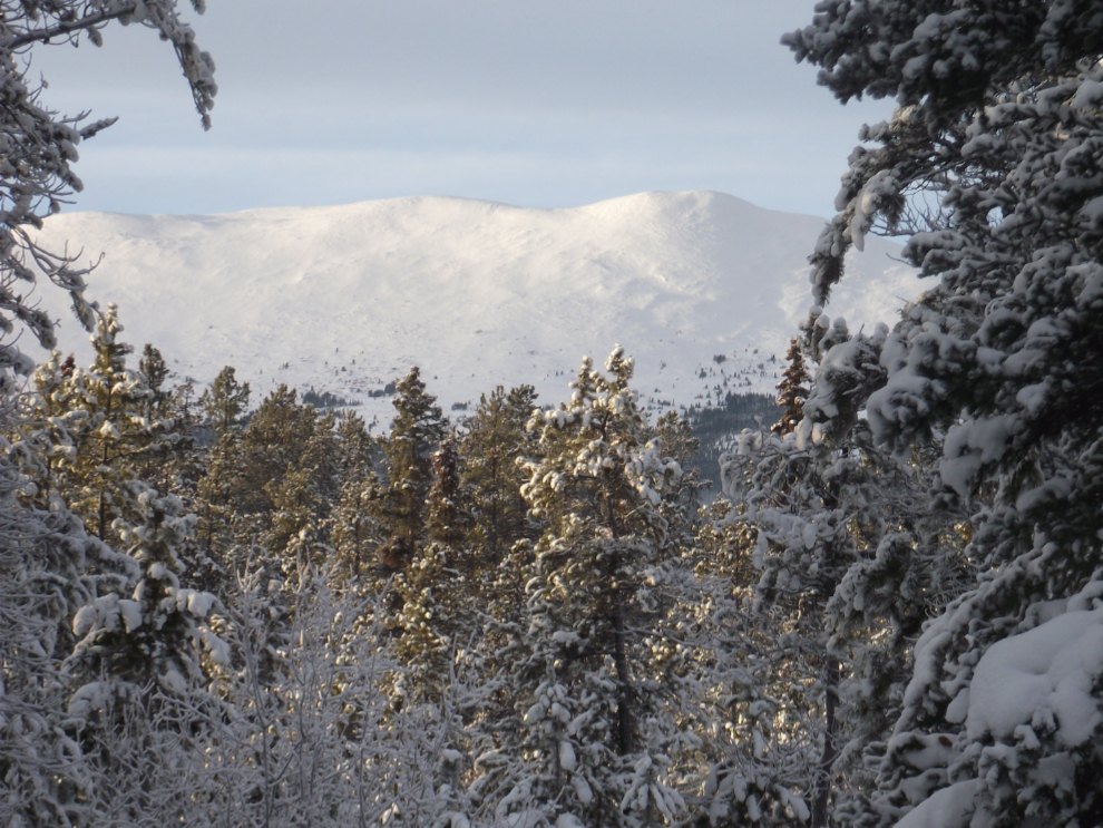 The winter mountain view from my home office near Whitehorse, Yukon
