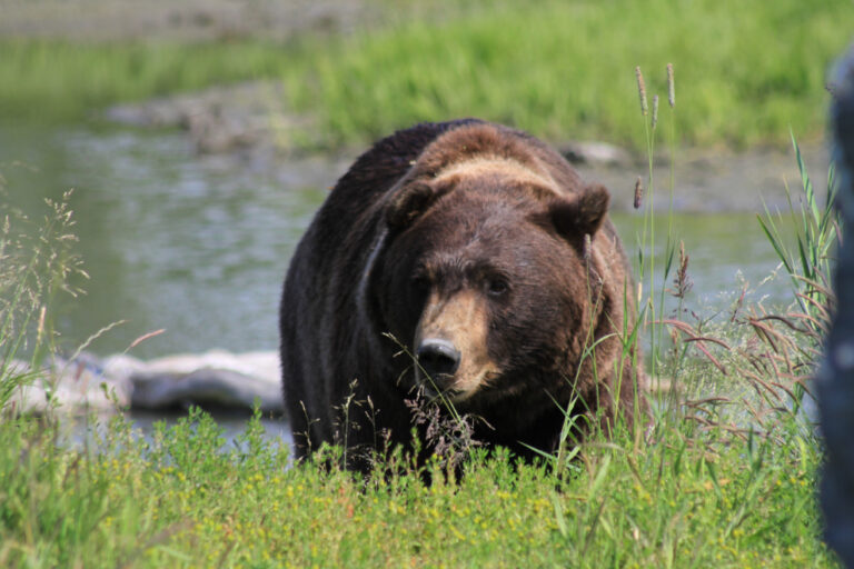 Alaska Marine Highway, Valdez to Whittier – The ExploreNorth Blog