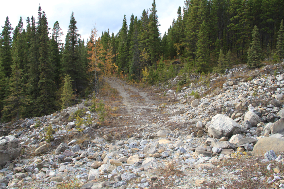 Dry creek on the Cut Trail, Alaska Highway