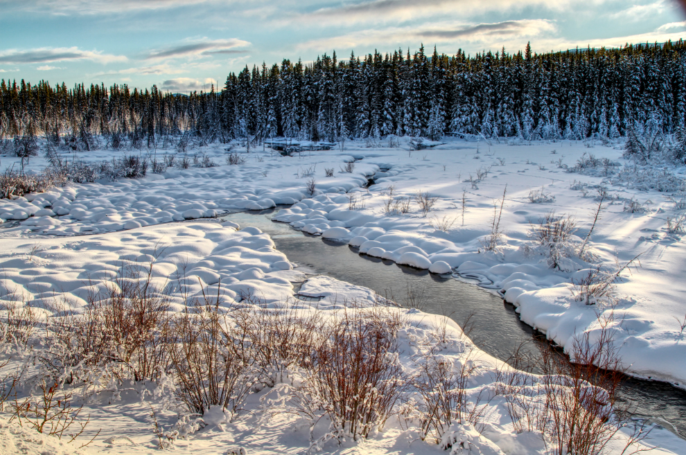 McIntyre Marsh, a few minutes from downtown Whitehorse, Yukon
