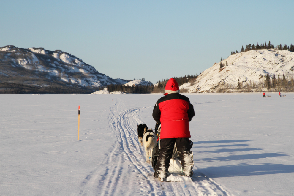Dog-sledding on Lake Laberge, Yukon