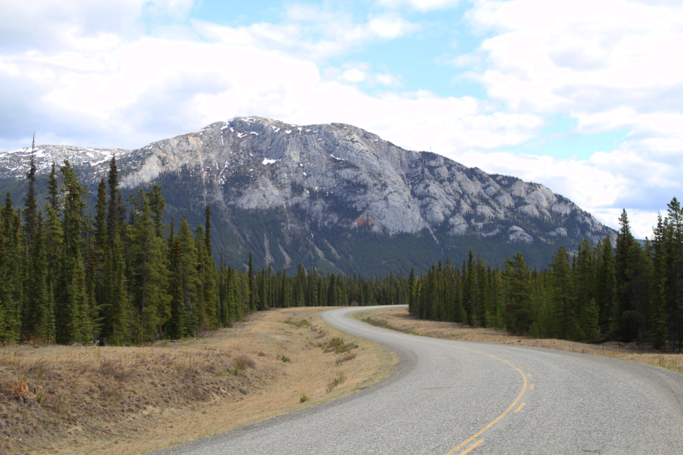 Near the east end of the Tagish Road, Yukon
