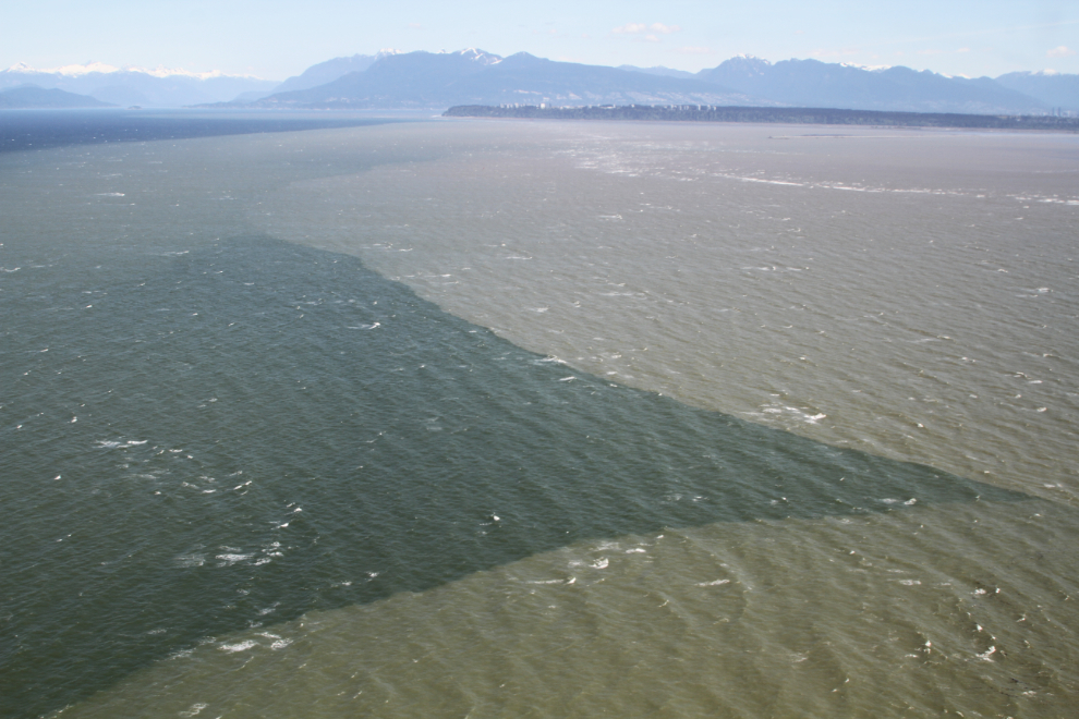 The muddy water from the Fraser River meets the clear salty waters of the Salish Sea