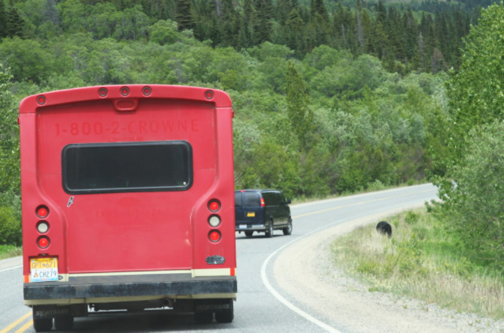 Tour van watching a bear north of Skagway.