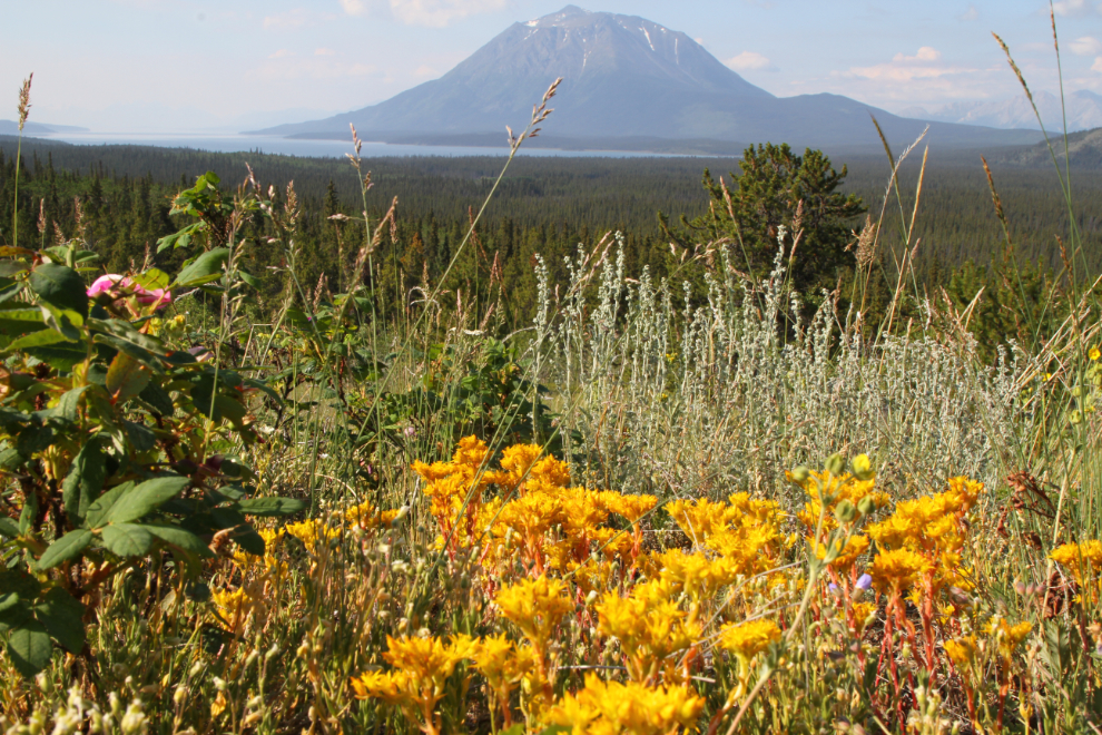 Mount Minto from a glacial moraine along the Atlin Road