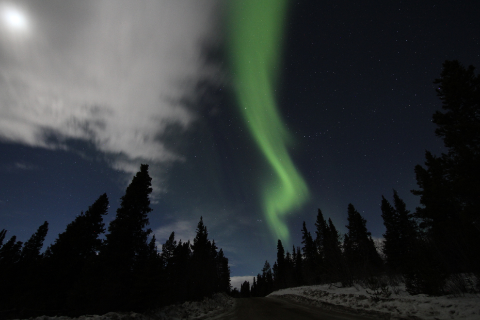 The aurora borealis at Jackson Lake Road near Whitehorse, Yukon