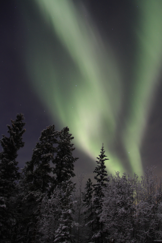The aurora borealis over my home in the Yukon