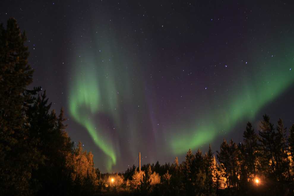 The aurora borealis seen from my driveway in the Yukon