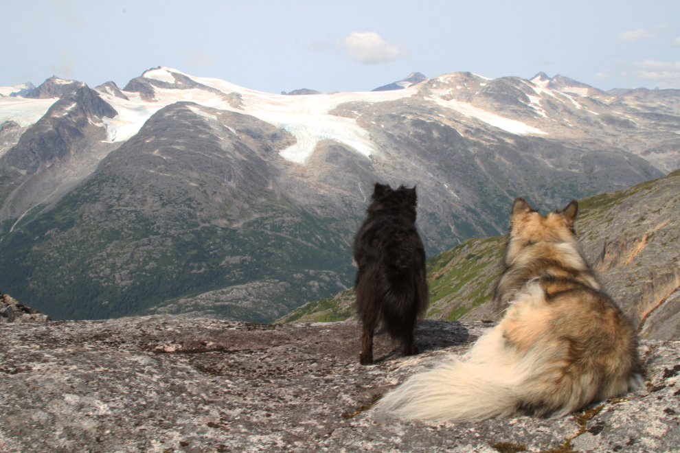 Tucker and Bella looking over the Chilkoot Trail to the glaciers beyond