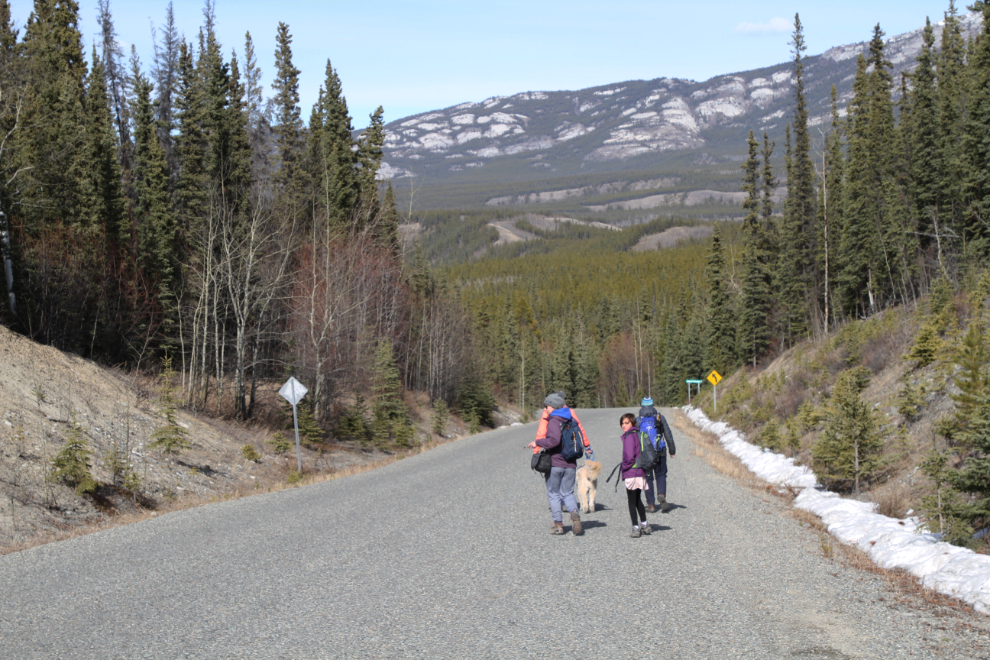 Walking down Miles Canyon Road at Whitehorse, Yukon