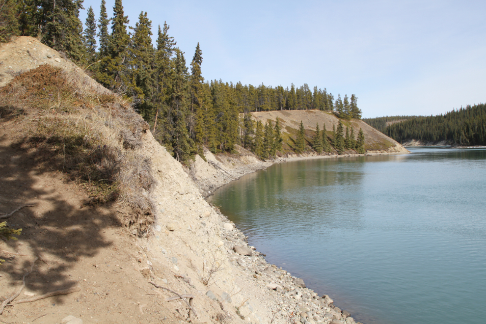 Lower Canyon City Trail along the Yukon River at Whitehorse, Yukon