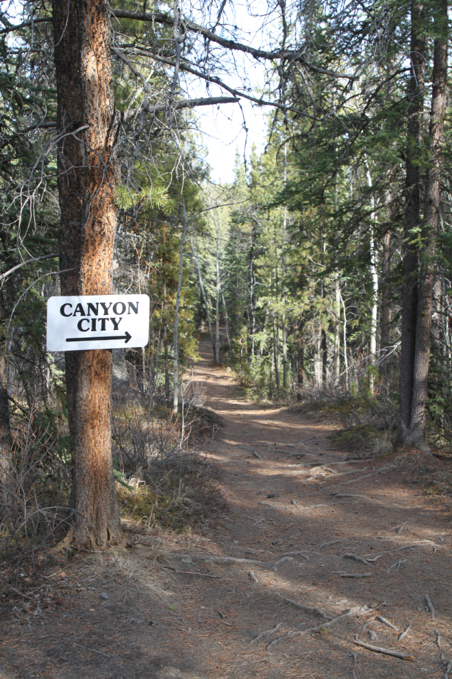 Upper Canyon City Trail at Whitehorse, Yukon