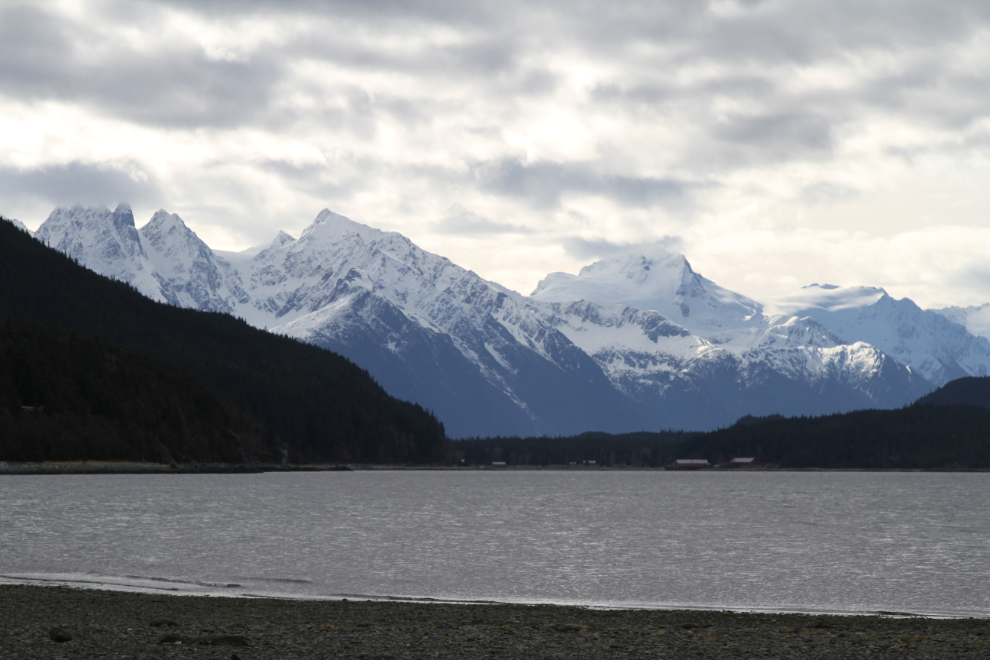 Chilkat River estuary, Haines, Alaska