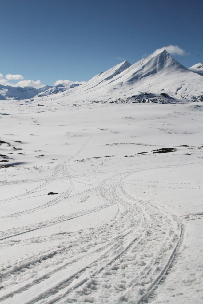 Snowmobile tracks at the Haines Summit