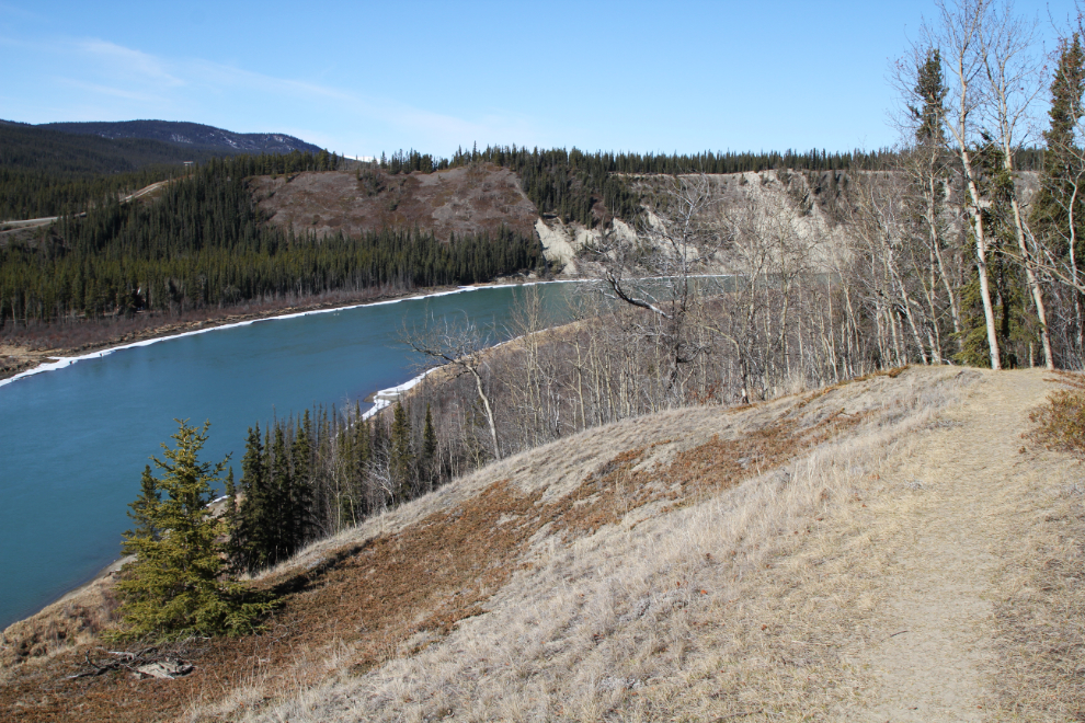 Lewes River Trail, Yukon