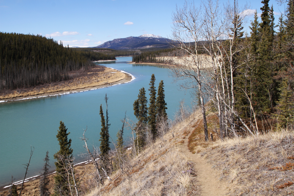 Lewes River Trail, Yukon