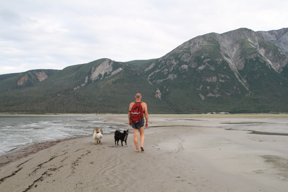 Walking with my dogs on Slim's River flats, Kluane Lake, Yukon