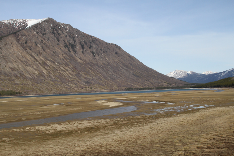 Nares Lake at Carcross is more Nares Meadow at low water levels.