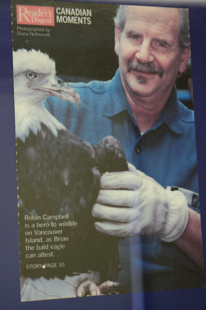 Robin Campbell and a bald eagle in Reader's Digest magazine
