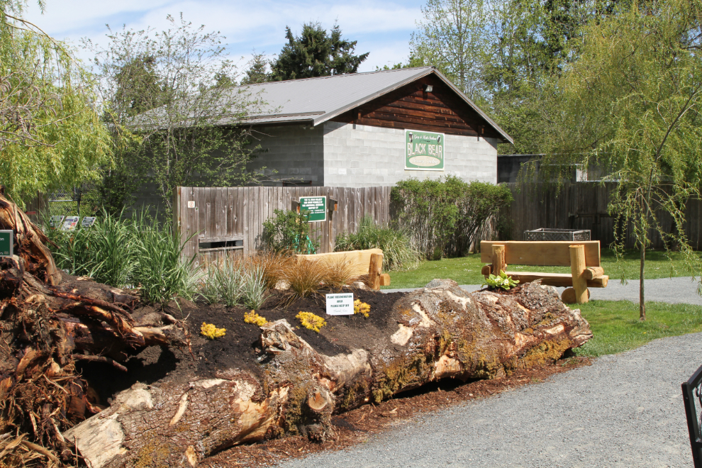North Island Wildlife Recovery Centre, Vancouver Island