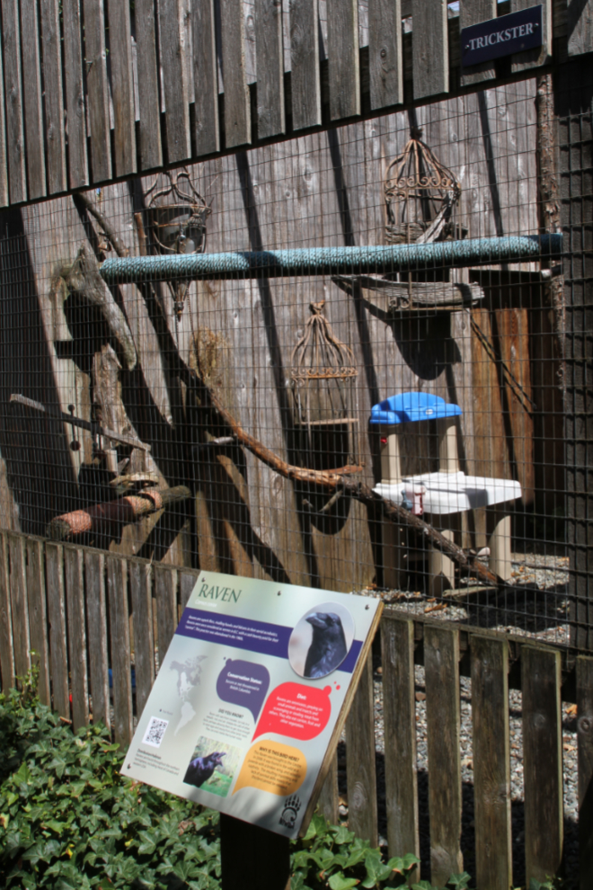 Raven enclosure at the North Island Wildlife Recovery Centre, Vancouver Island