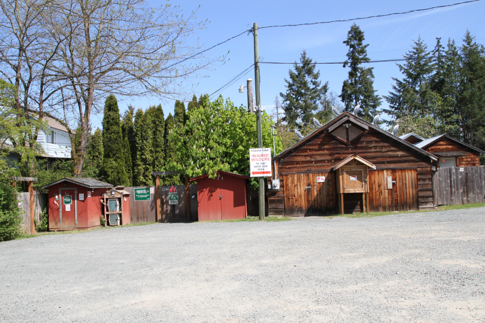 Arriving at the North Island Wildlife Recovery Centre, Vancouver Island