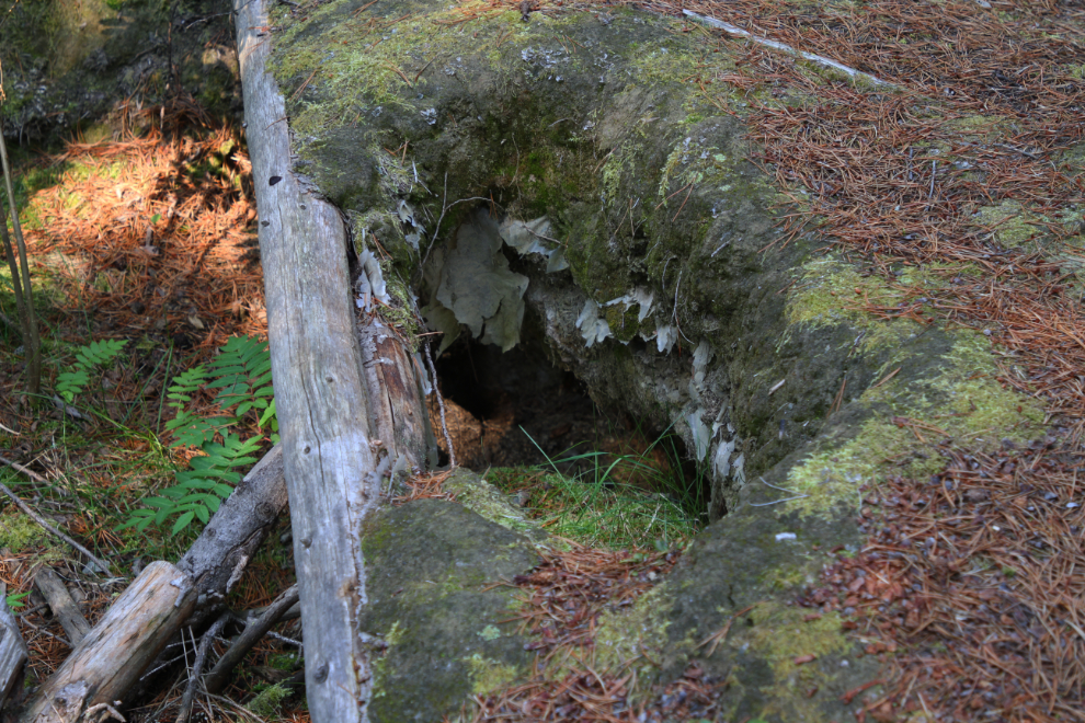 An unknown in-ground structure in Porter Creek, Whitehorse