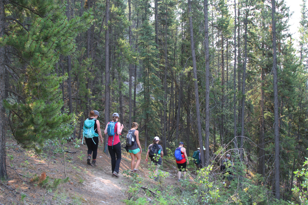 Hiking along Rabbit's Foot Canyon in Whitehorse