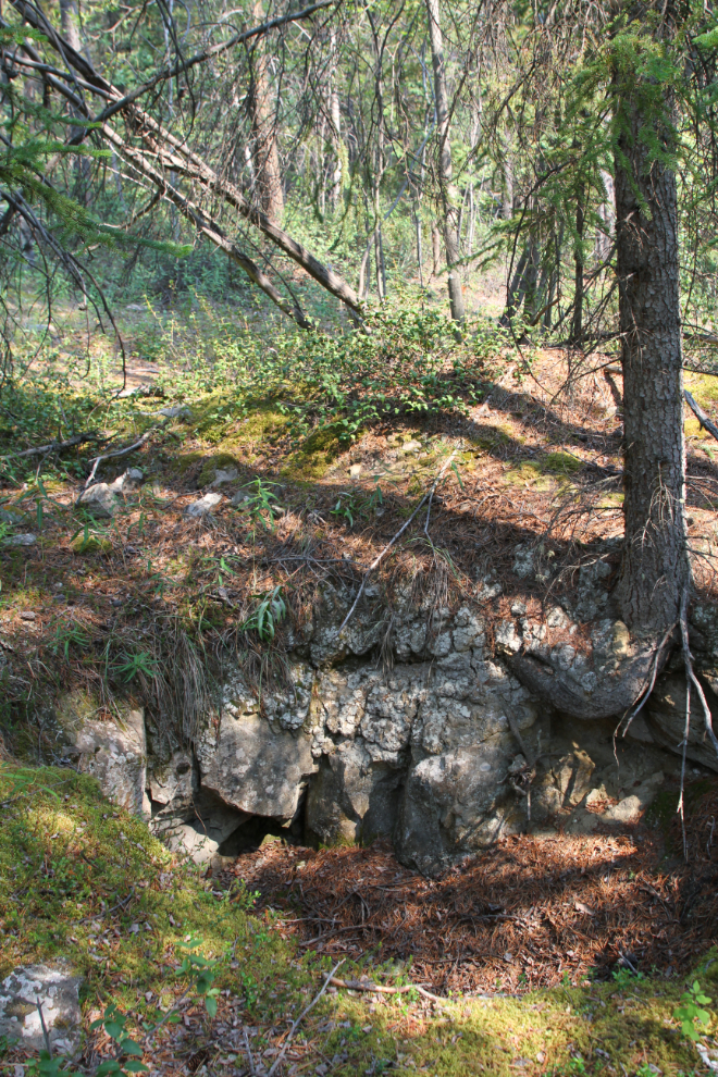 Possible foundation of a small building on the Rabbit's Foot Mine claim, Whitehorse