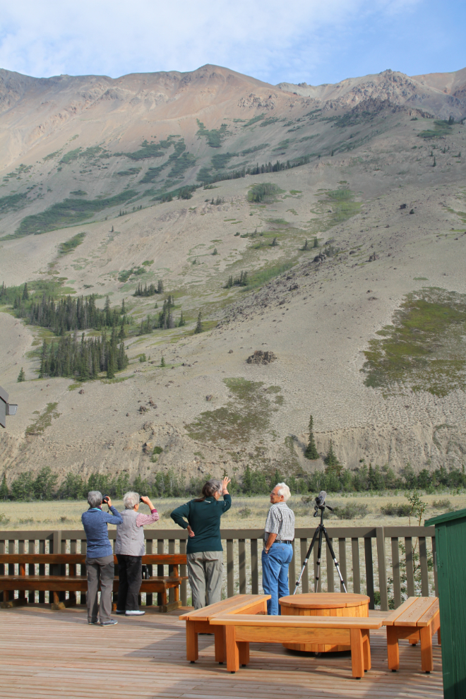 Thachal Dhal (Sheep Mountain) Visitor Centre, Kluane National Park