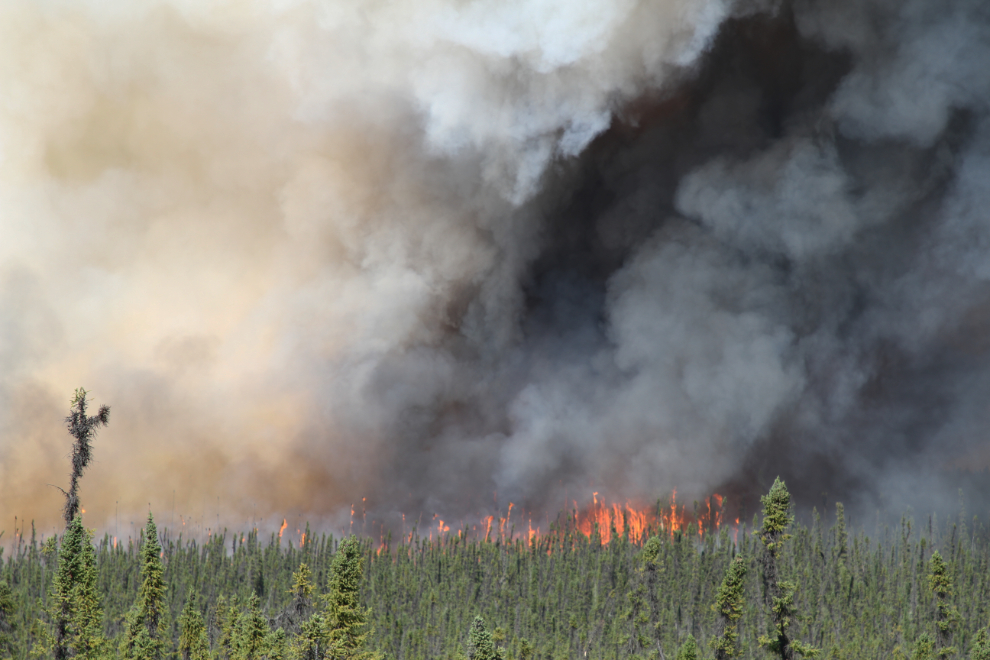 Snag wildfire along the Alaska Highway, Yukon