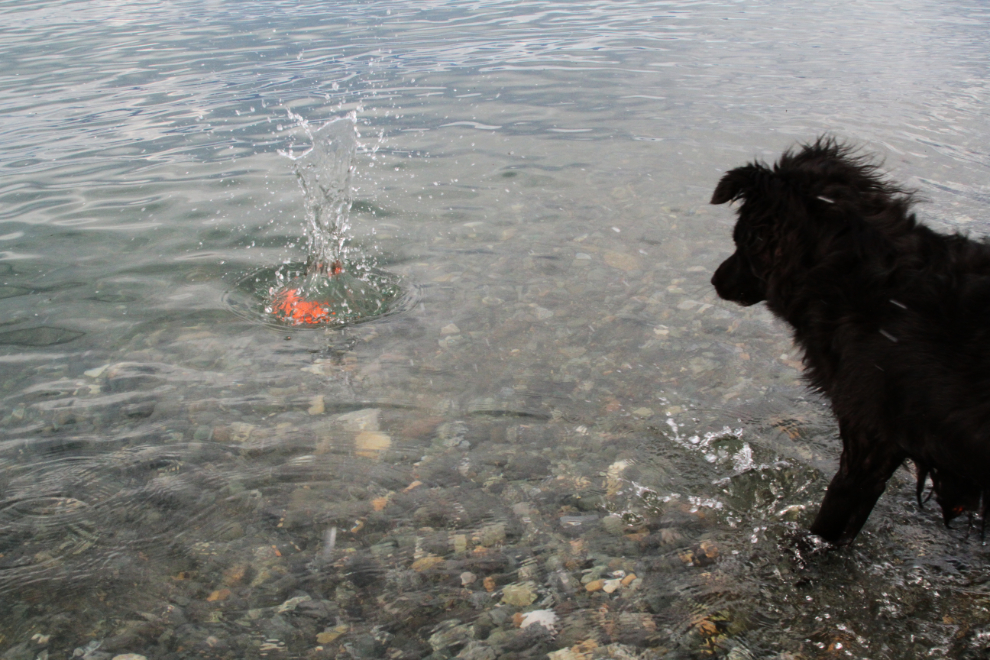 Playing ball with my dog at Kluane Lake, Yukon