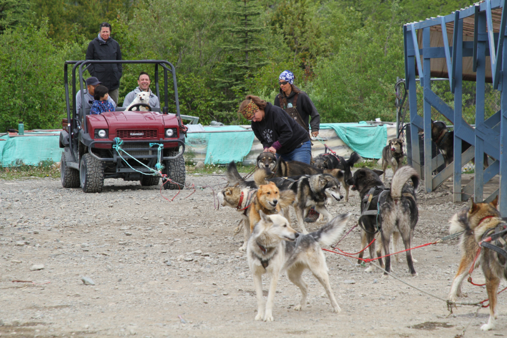 Tutshi Sled Dog Camp, South Klondike Highway