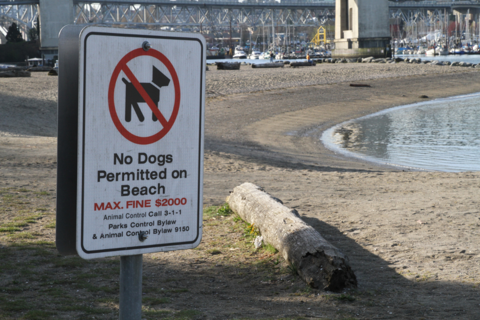 No dogs allowed on the beach in Vancouver, BC