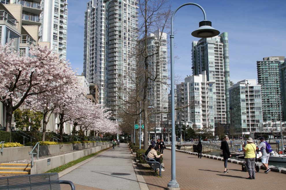 Waterfront path in Vancouver, BC
