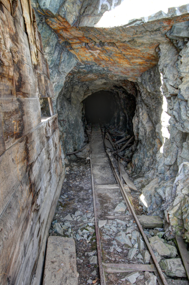 The 1906 adit of the Venus mine