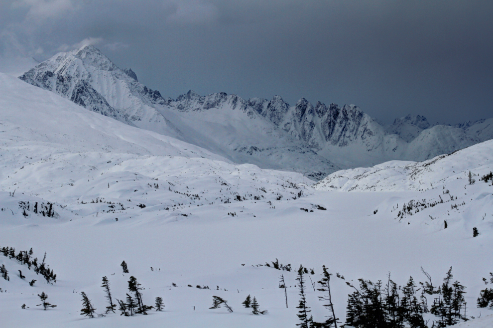 Winter in the White Pass summit area