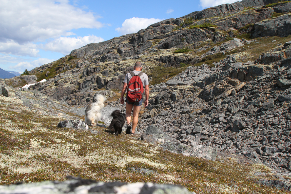 Hiking with dogs in the White Pass