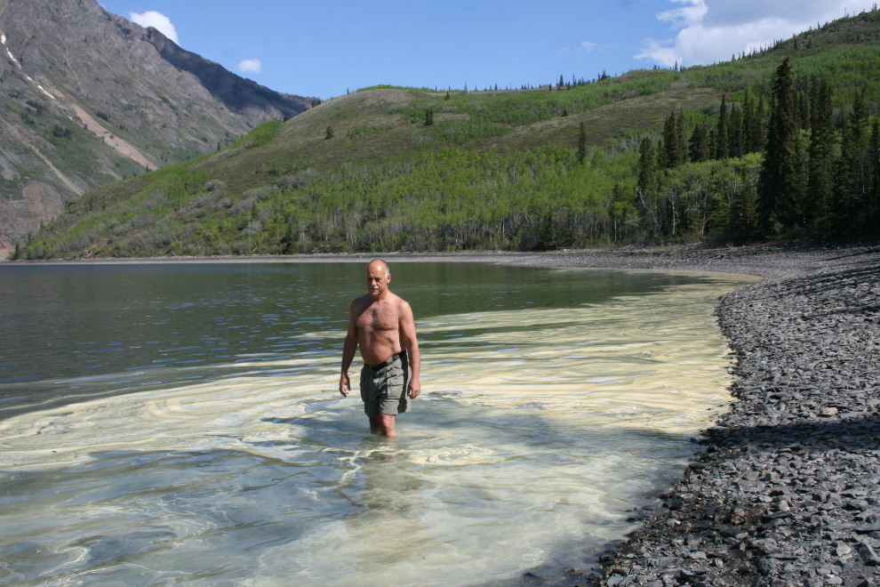 Wading through pollen floating on Windy Arm, Yukon