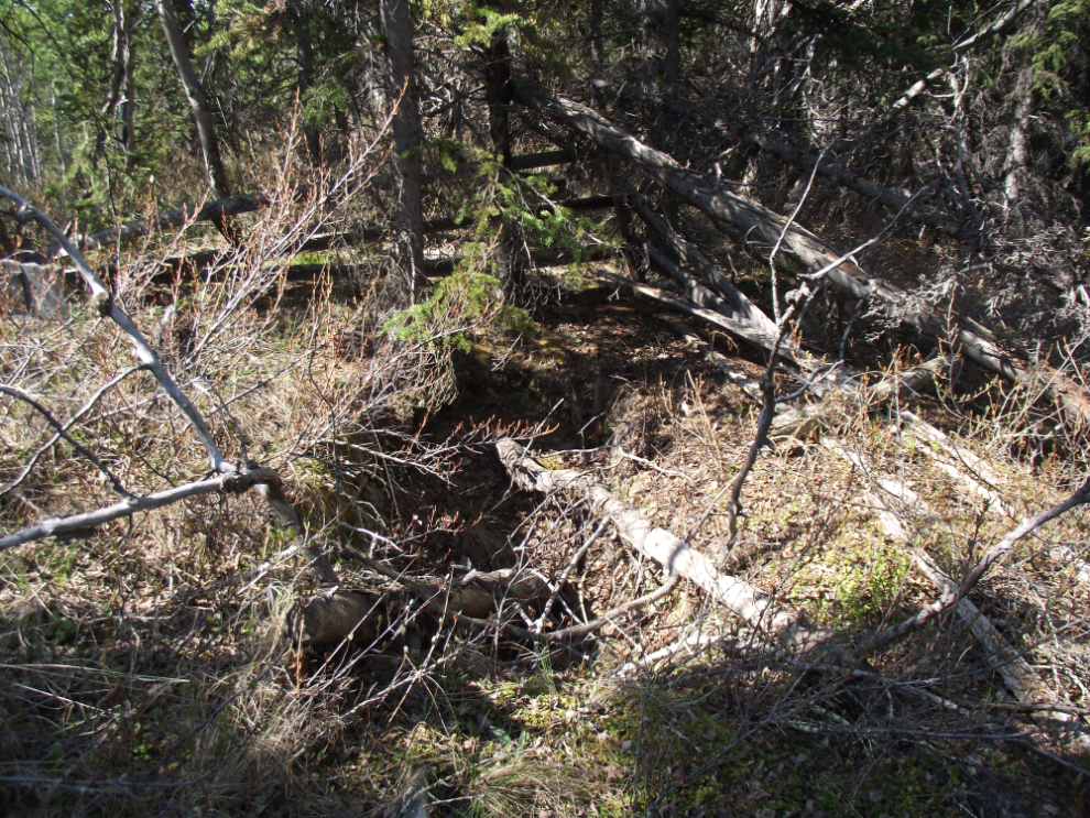 A possible exhumed grave at Windy Arm, Yukon