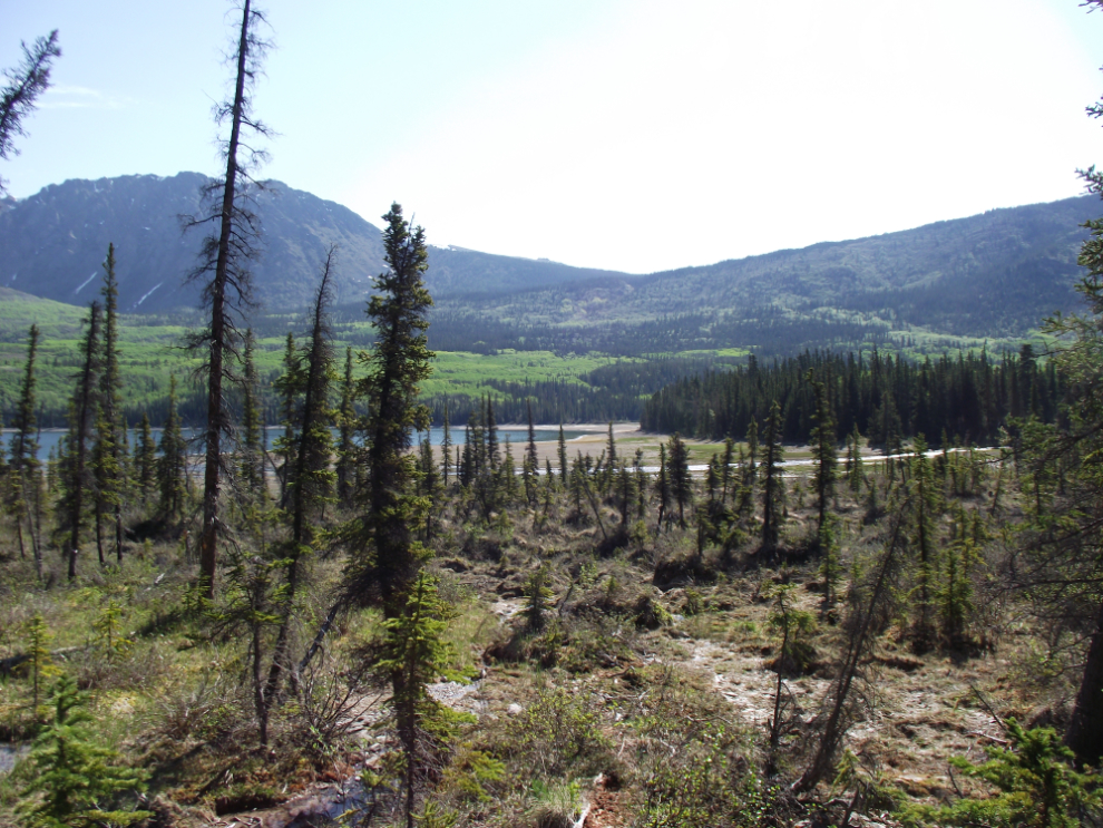 Hiking to wilderness graves at Windy Arm, Yukon