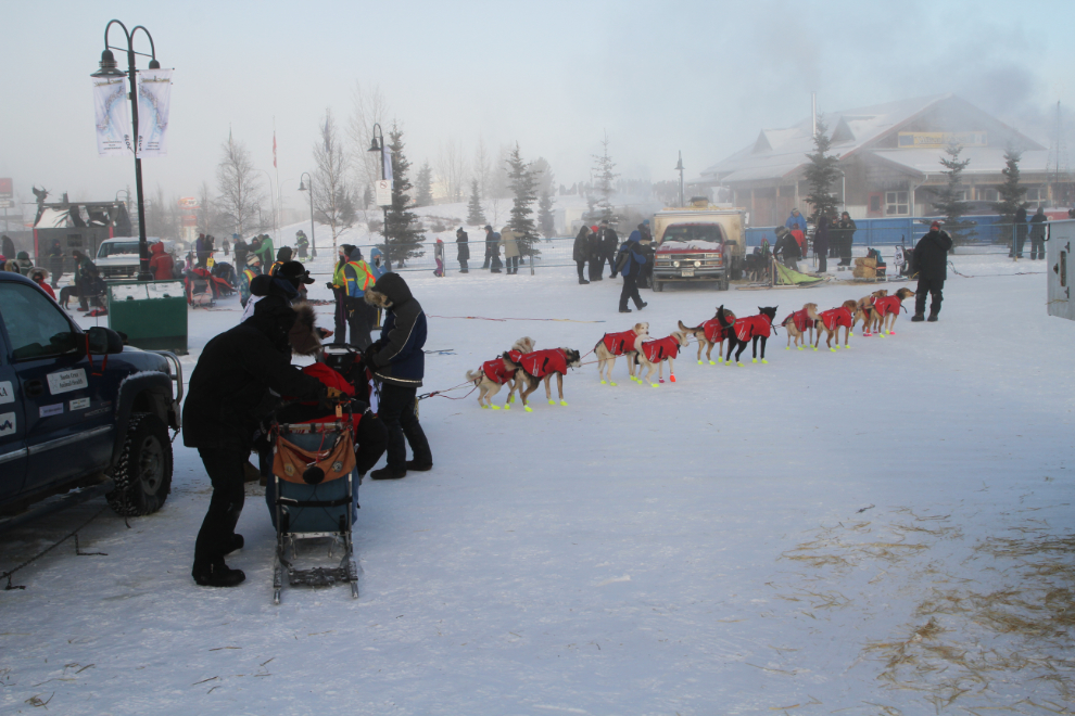 The start of the Yukon Quest 2019 sled dog race