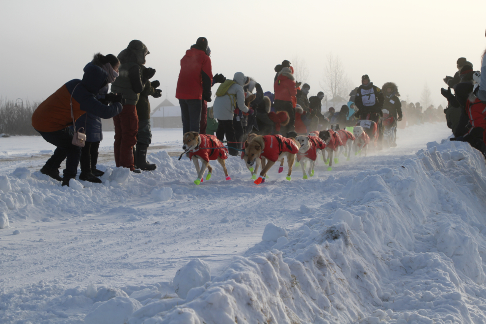 The start of the Yukon Quest 2019 sled dog race