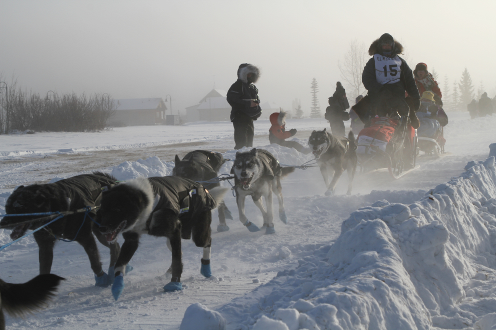 Yukon Quest 2019 sled dog race, Whitehorse