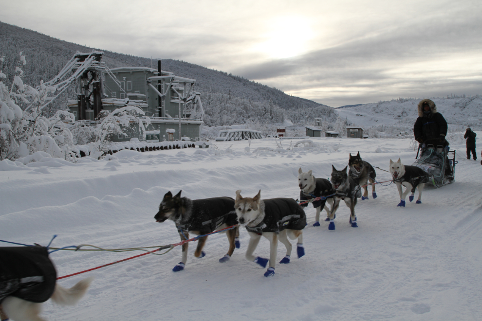 Chase Tingle in the Yukon Quest 2019 in Dawson City