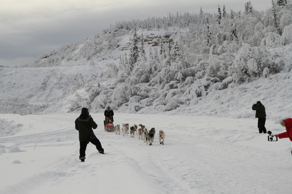 Hendrik Stachnau in Yukon Quest 2019 in Dawson City