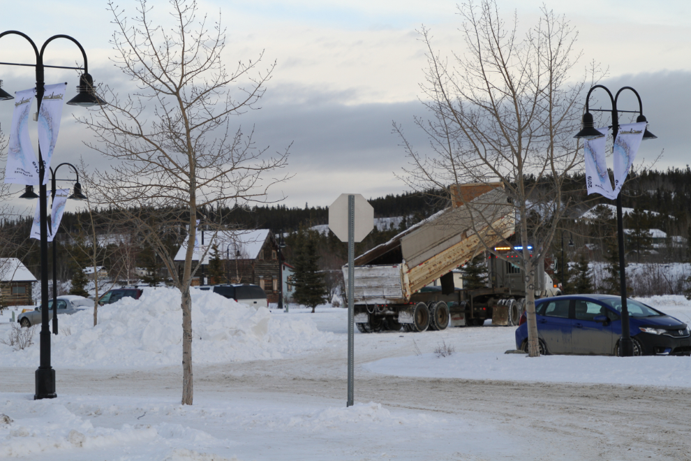 Trucking snow to the Yukon Quest dog yard area