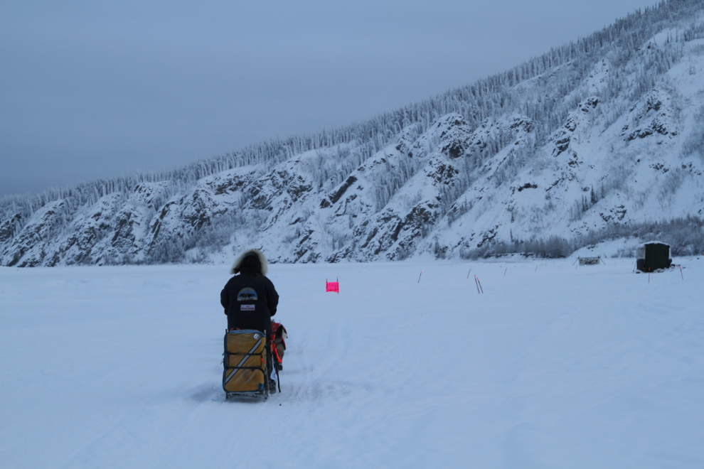 Swedish musher Torsten Kohnert, Yukon Quest 2019 in Dawson City
