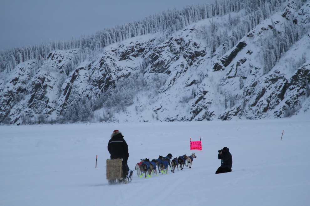 Rough Trail ahead - Yukon Quest 2019 in Dawson City
