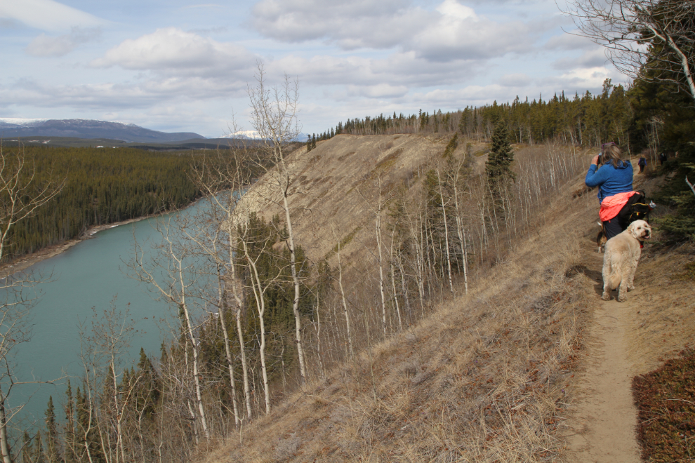 Yukon River Trail East at Whitehorse, Yukon